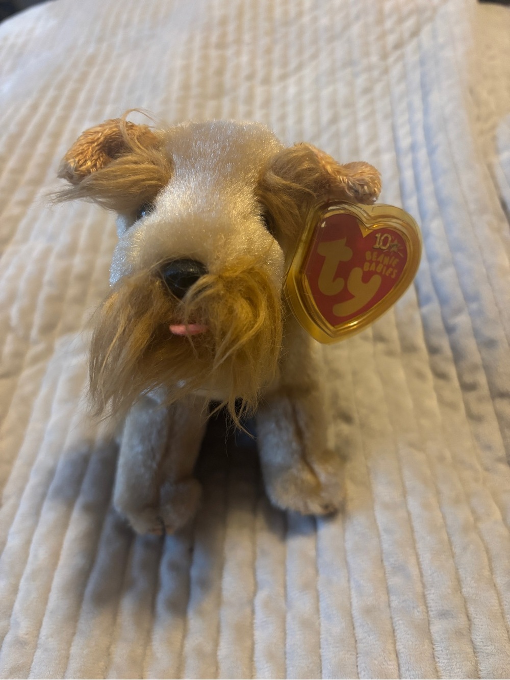 Ty Beanie Baby Schnitzel the Dog 2002